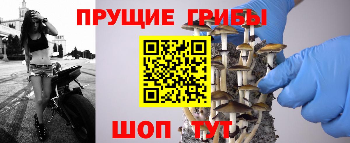 Калининград  цены   Вход с VPN  Галлюциногенные грибы Magic Shrooms 