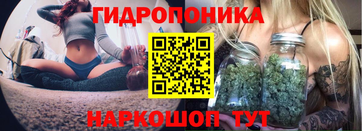 Бошки марихуана сатива Калининград